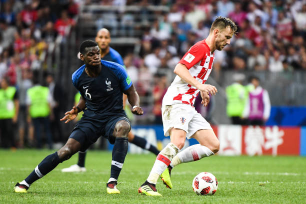 国羽显露锋 国羽显露锋